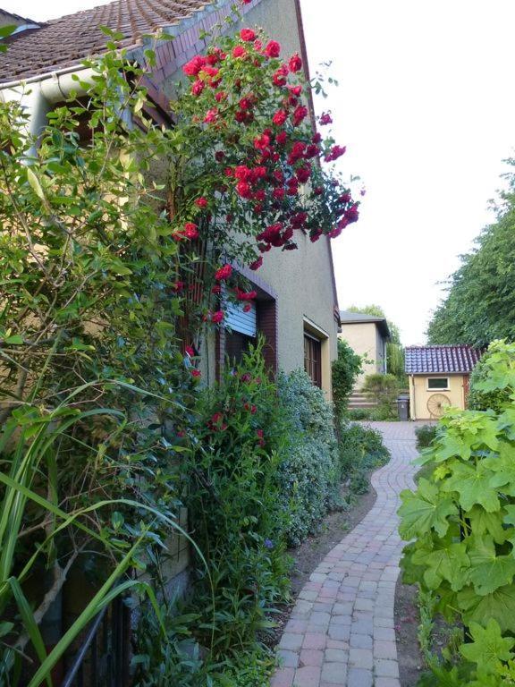 Fewo Abendrot Insel Poel Exterior photo